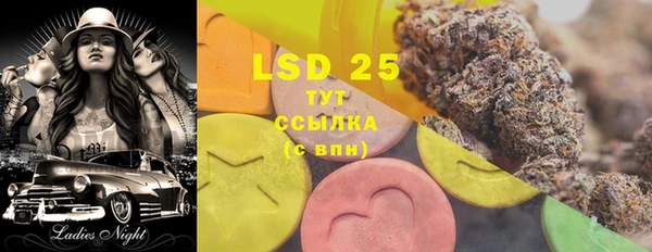 хмурый Алзамай