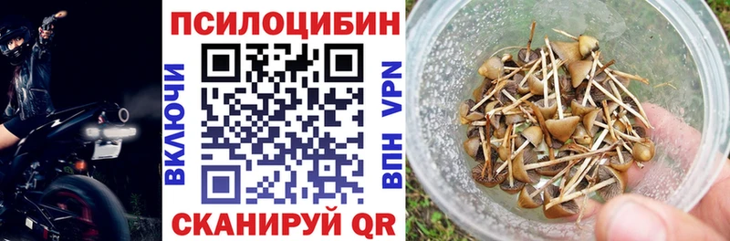 Псилоцибиновые грибы прущие грибы  гидра онион  Бийск 